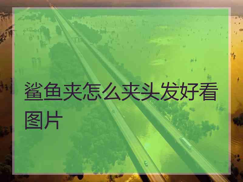 鲨鱼夹怎么夹头发好看图片
