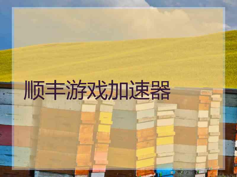 顺丰游戏加速器