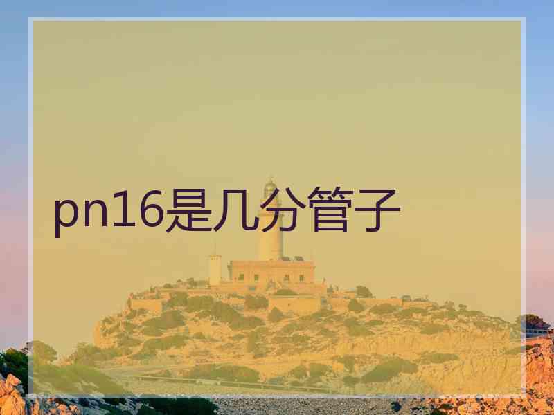 pn16是几分管子