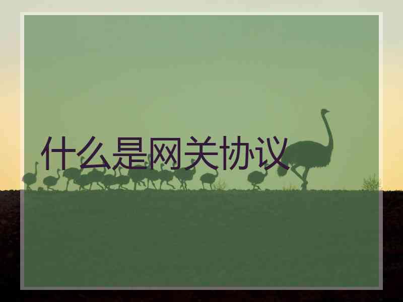 什么是网关协议