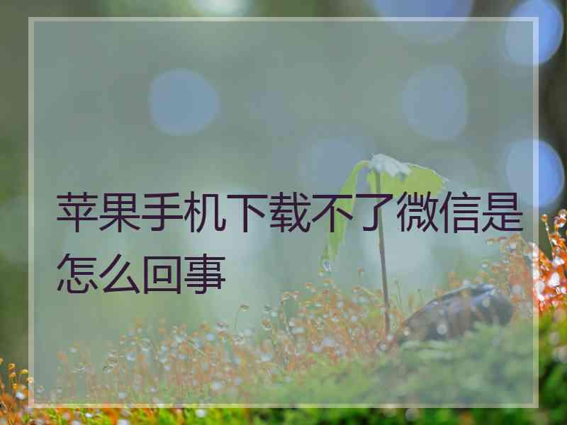 苹果手机下载不了微信是怎么回事