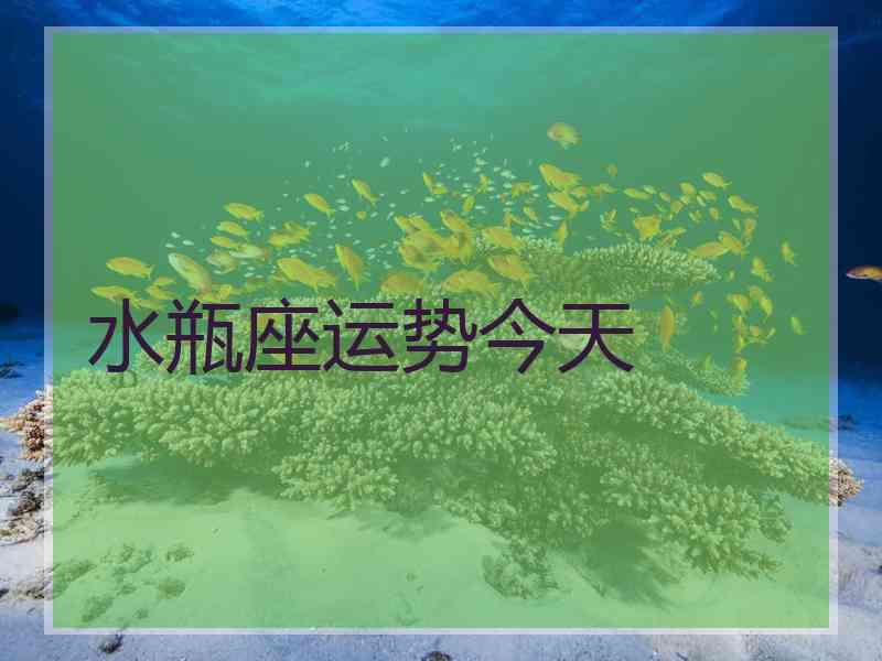 水瓶座运势今天