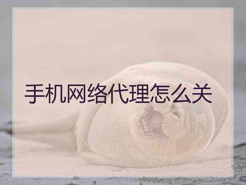 手机网络代理怎么关