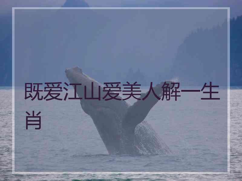 既爱江山爱美人解一生肖