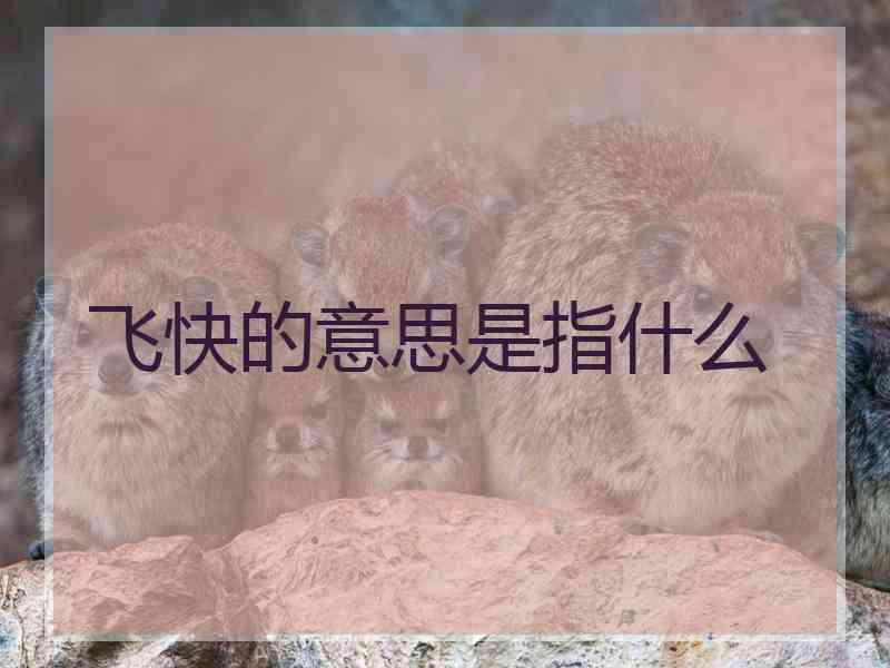 飞快的意思是指什么