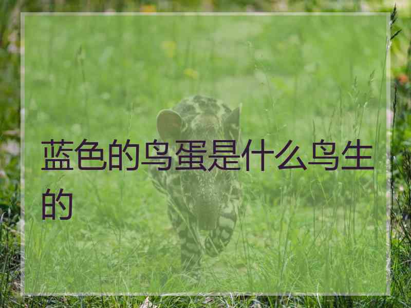 蓝色的鸟蛋是什么鸟生的