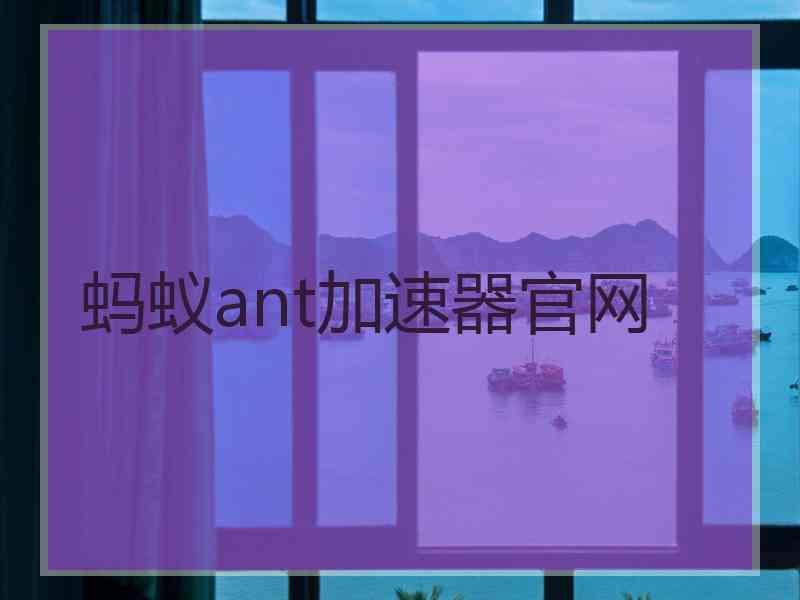 蚂蚁ant加速器官网