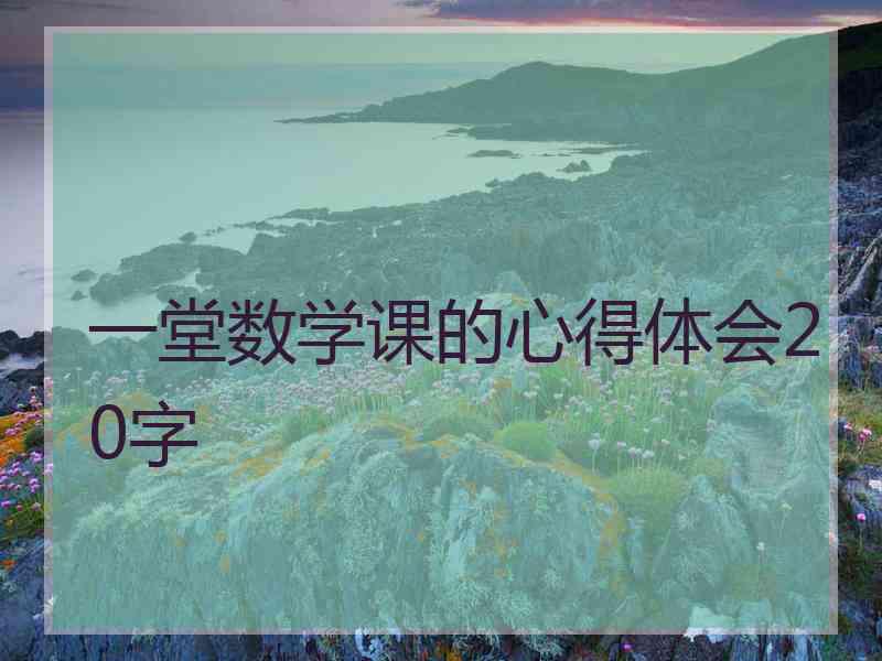 一堂数学课的心得体会20字
