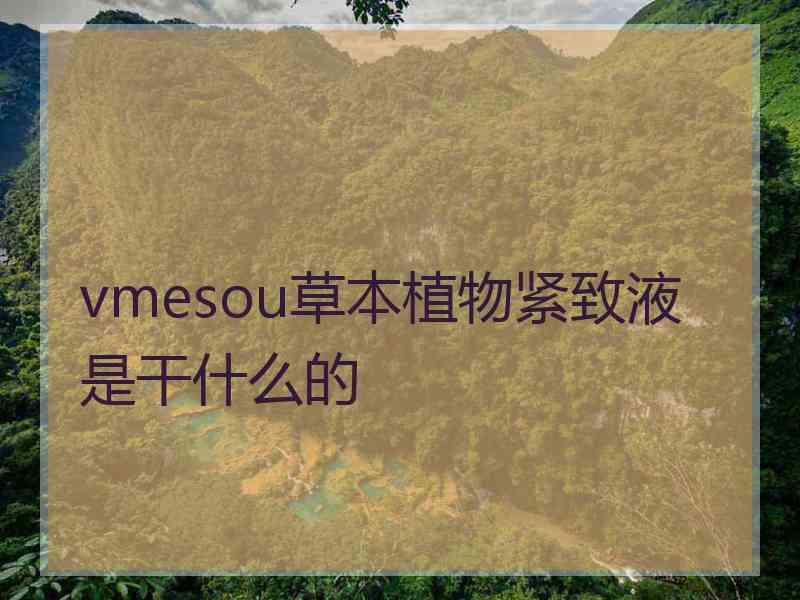 vmesou草本植物紧致液是干什么的