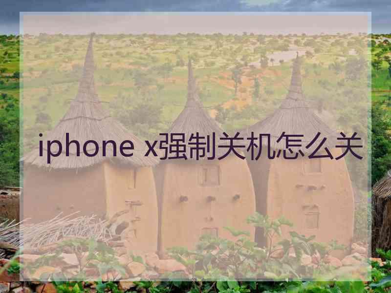 iphone x强制关机怎么关