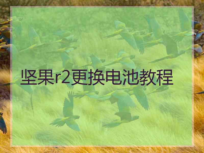 坚果r2更换电池教程