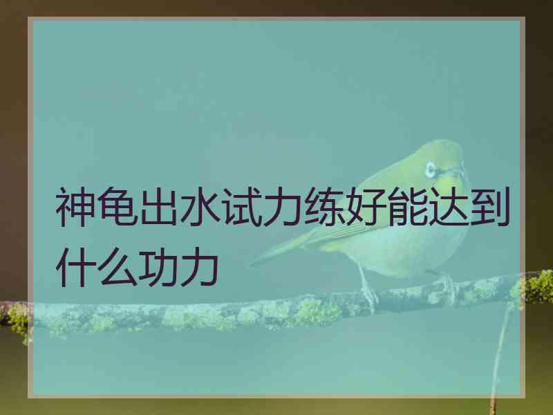 神龟出水试力练好能达到什么功力