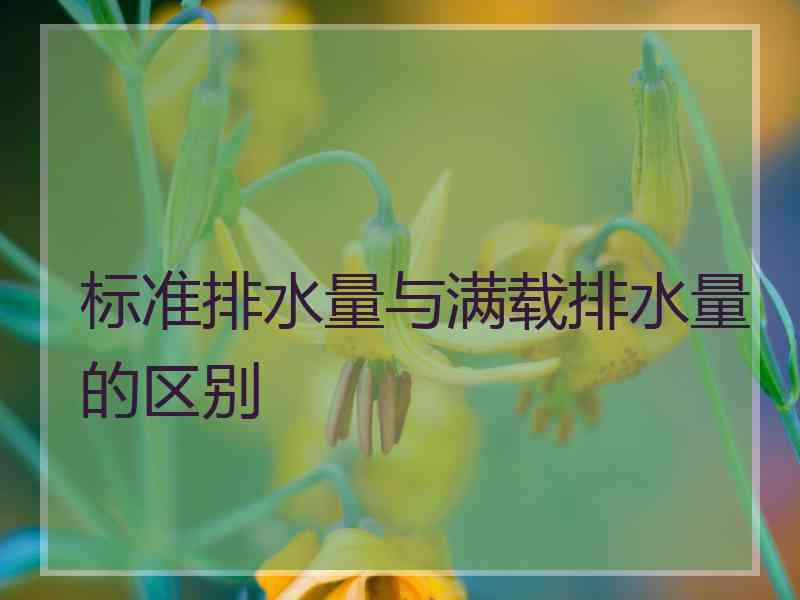 标准排水量与满载排水量的区别