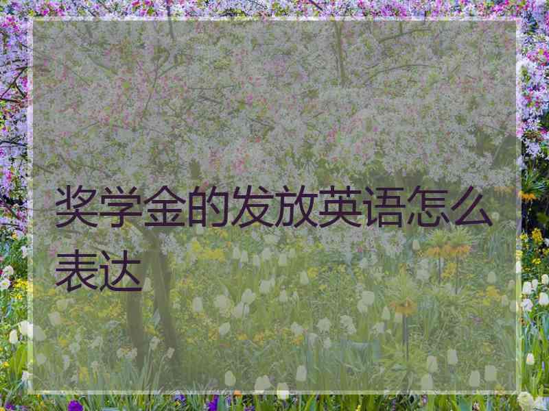 奖学金的发放英语怎么表达