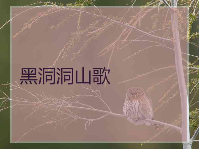 黑洞洞山歌