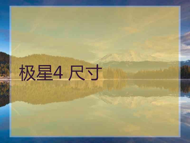 极星4 尺寸