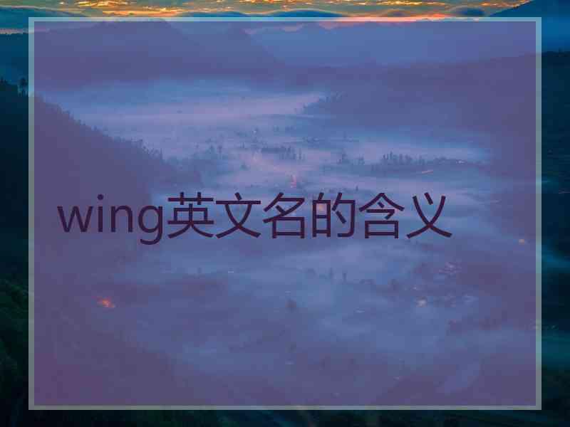 wing英文名的含义
