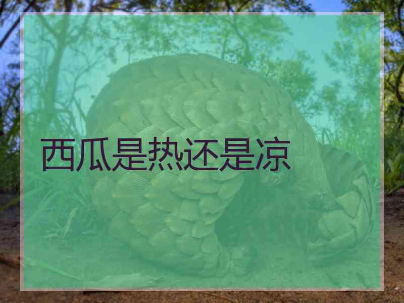 西瓜是热还是凉