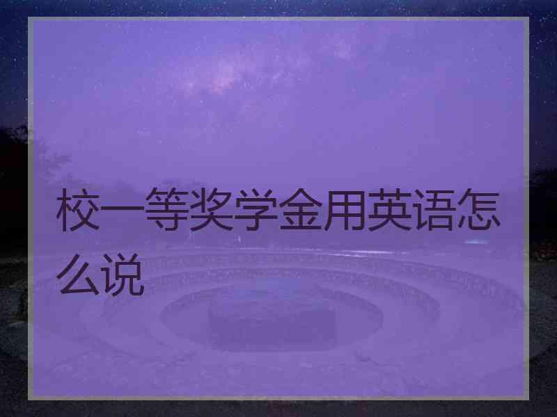 校一等奖学金用英语怎么说