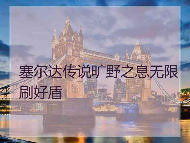 塞尔达传说旷野之息无限刷好盾