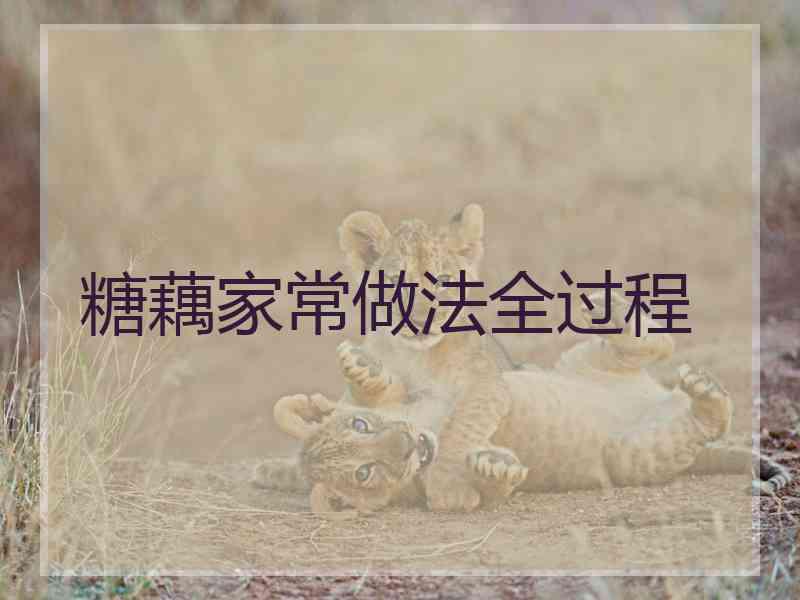 糖藕家常做法全过程