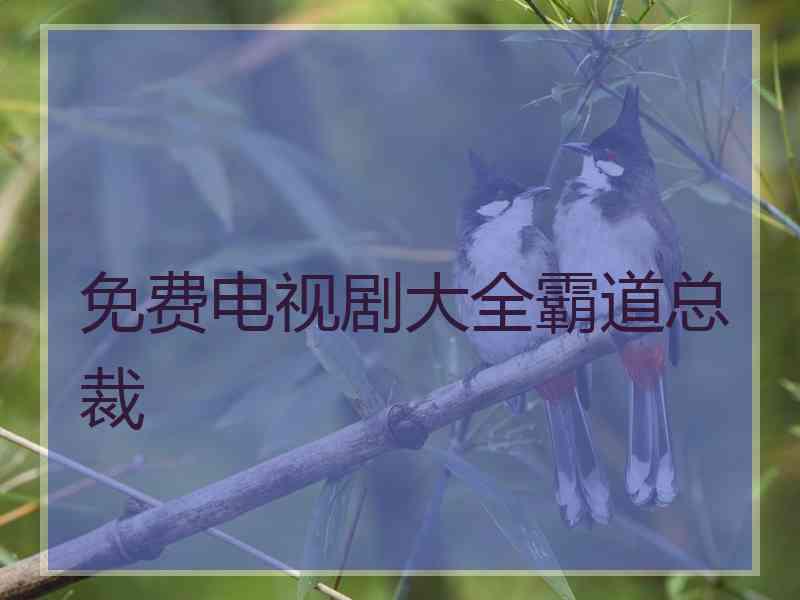 免费电视剧大全霸道总裁