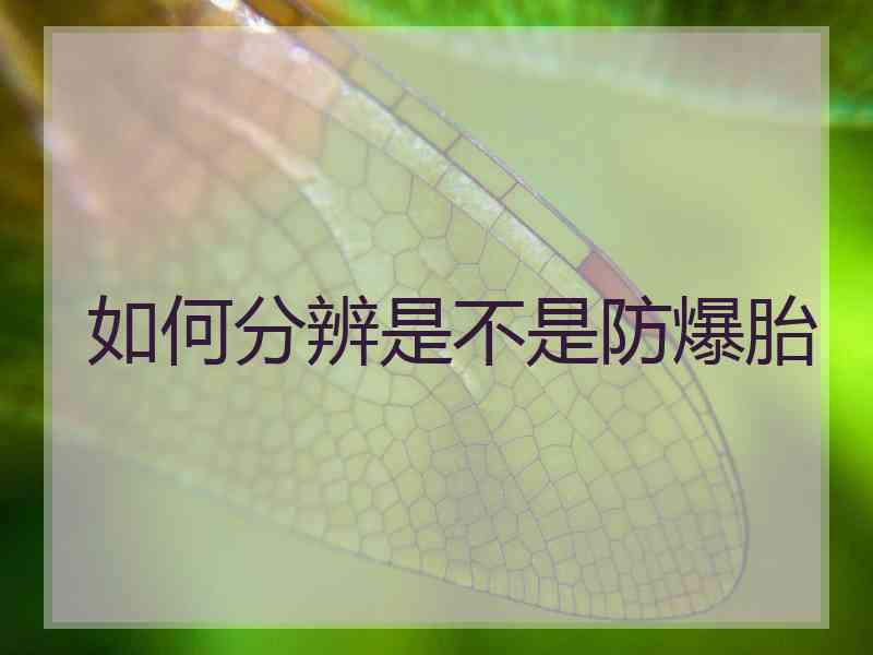 如何分辨是不是防爆胎