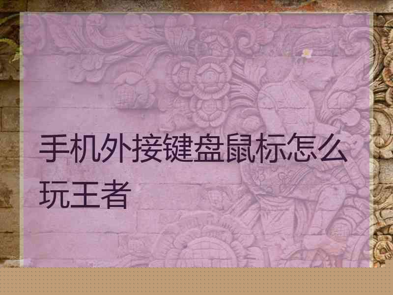 手机外接键盘鼠标怎么玩王者