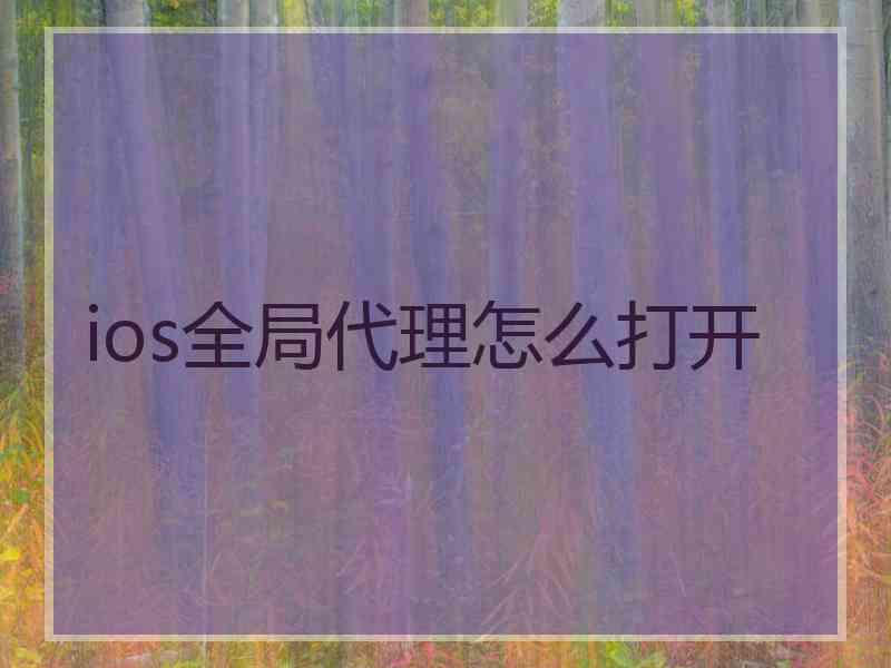 ios全局代理怎么打开