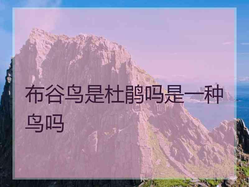布谷鸟是杜鹃吗是一种鸟吗