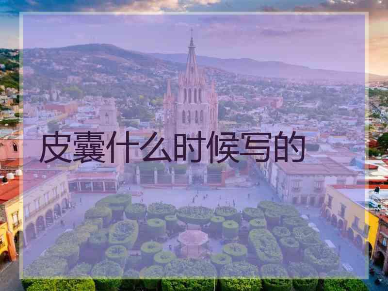 皮囊什么时候写的