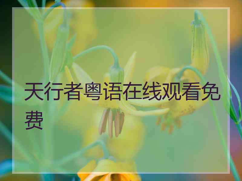 天行者粤语在线观看免费