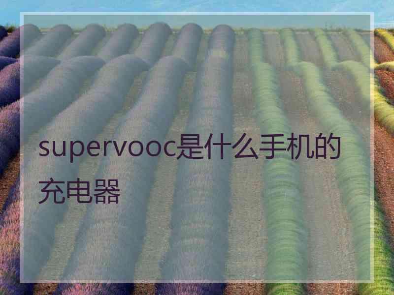 supervooc是什么手机的充电器