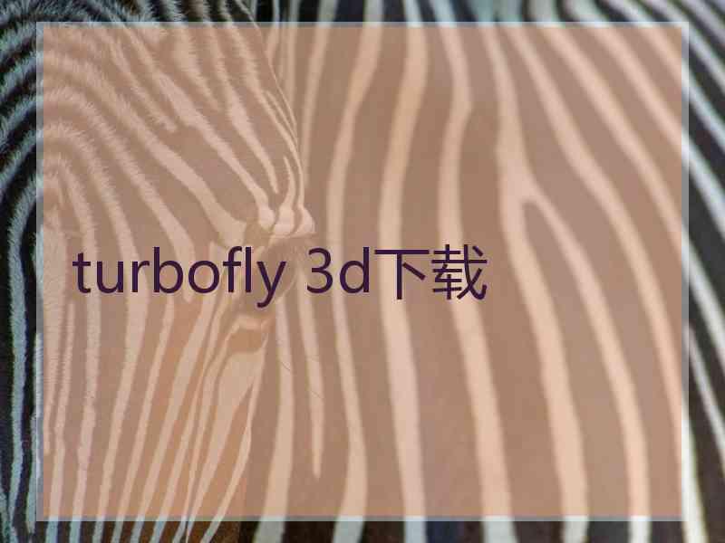 turbofly 3d下载