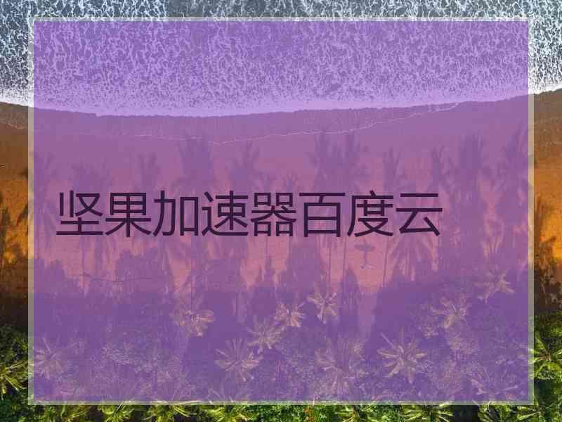 坚果加速器百度云