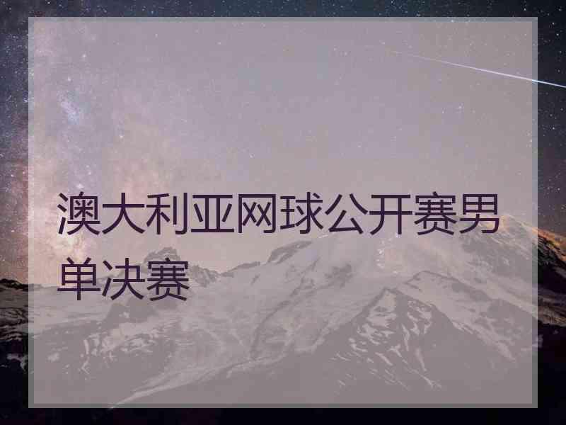 澳大利亚网球公开赛男单决赛