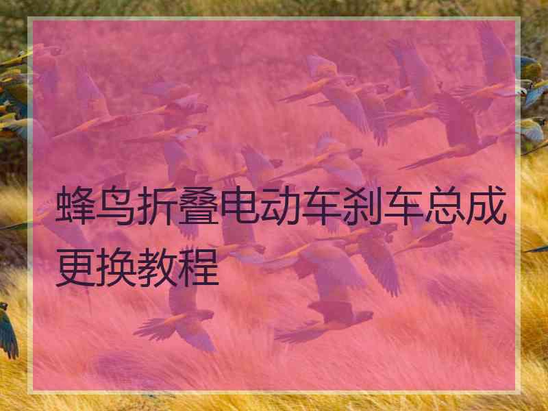 蜂鸟折叠电动车刹车总成更换教程