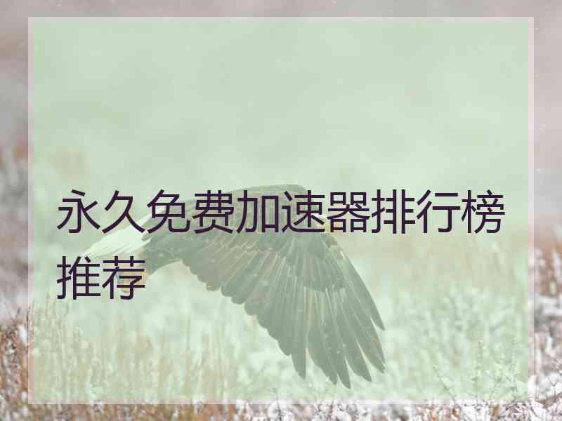 永久免费加速器排行榜推荐