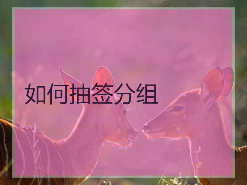 如何抽签分组