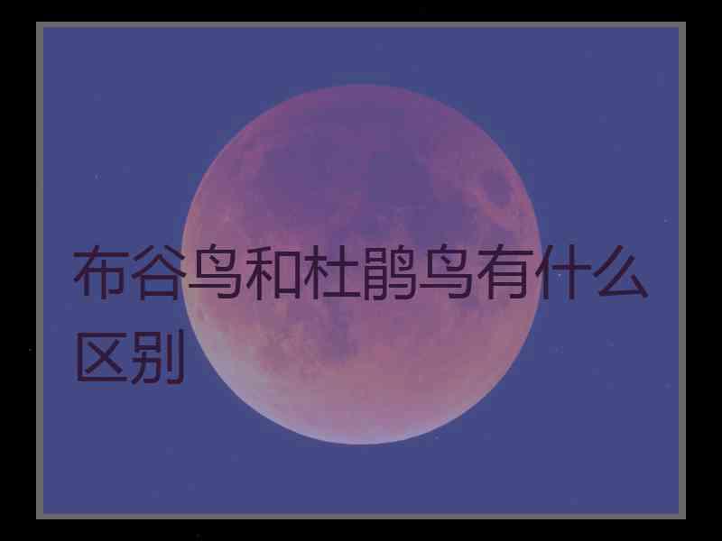 布谷鸟和杜鹃鸟有什么区别