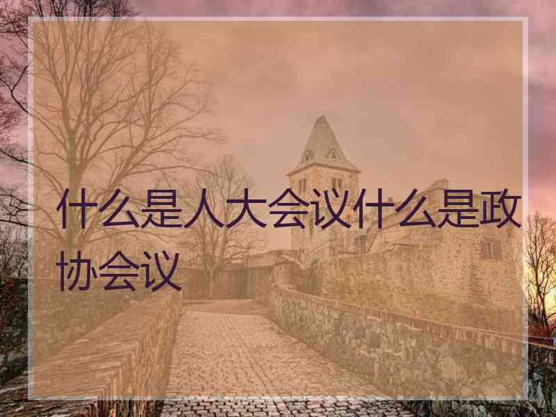 什么是人大会议什么是政协会议