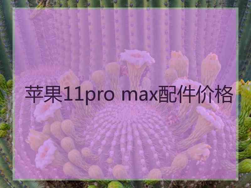苹果11pro max配件价格