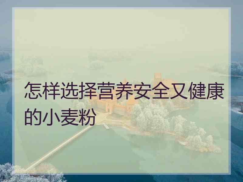 怎样选择营养安全又健康的小麦粉