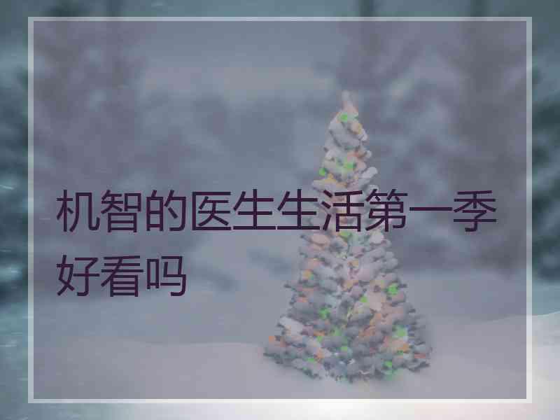 机智的医生生活第一季好看吗