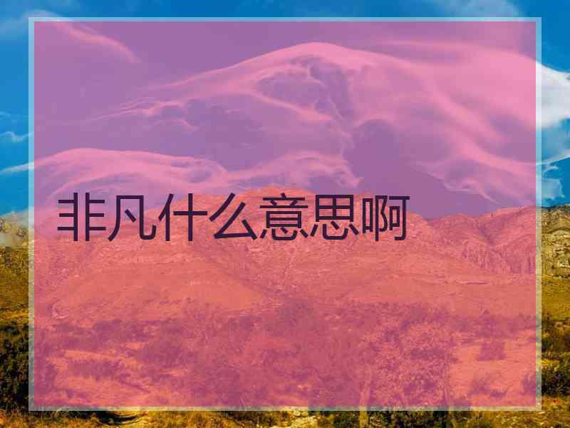 非凡什么意思啊