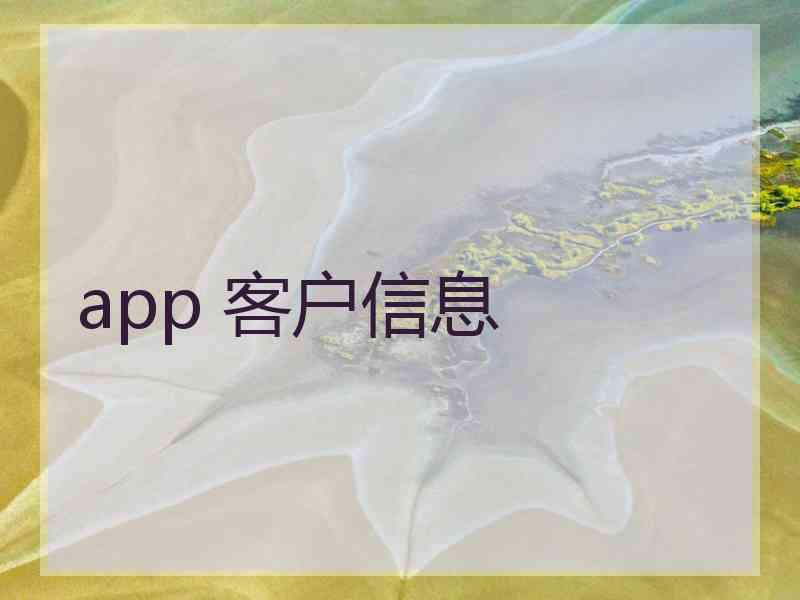 app 客户信息