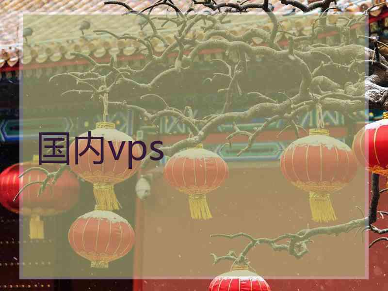 国内vps