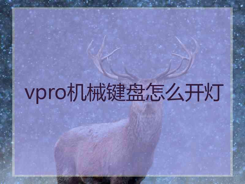 vpro机械键盘怎么开灯
