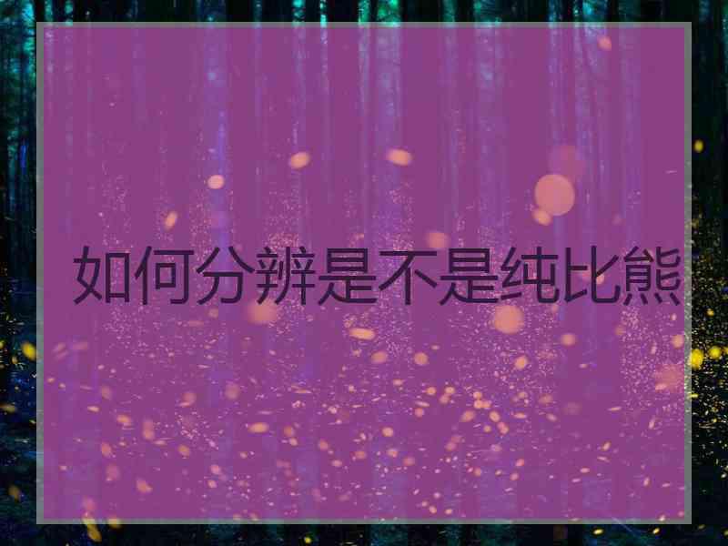 如何分辨是不是纯比熊
