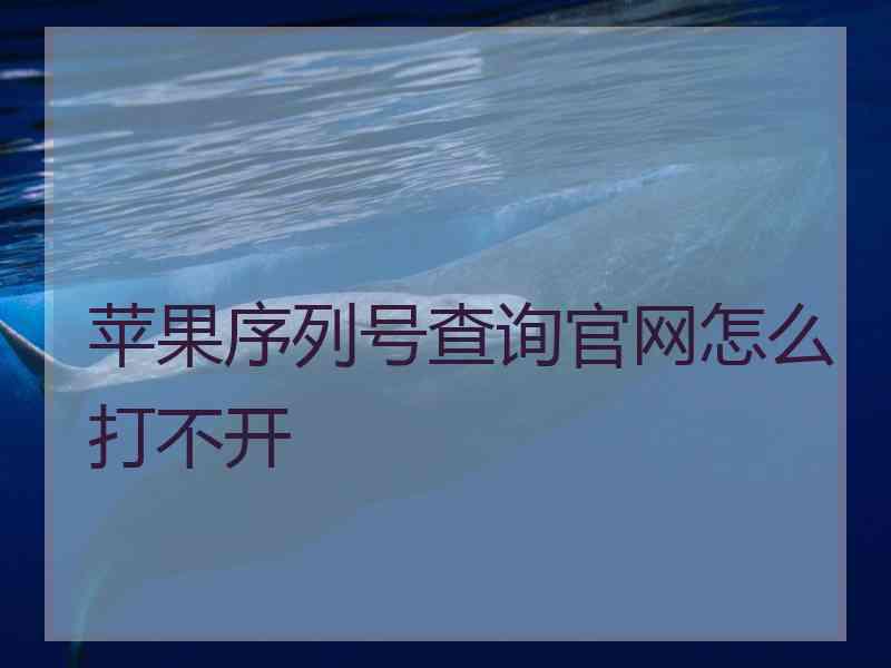 苹果序列号查询官网怎么打不开